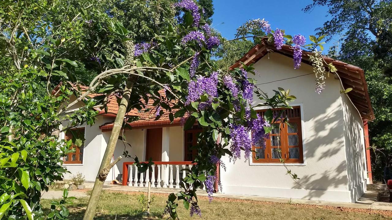 The Pepper Cottage Gomagoda 외부 사진