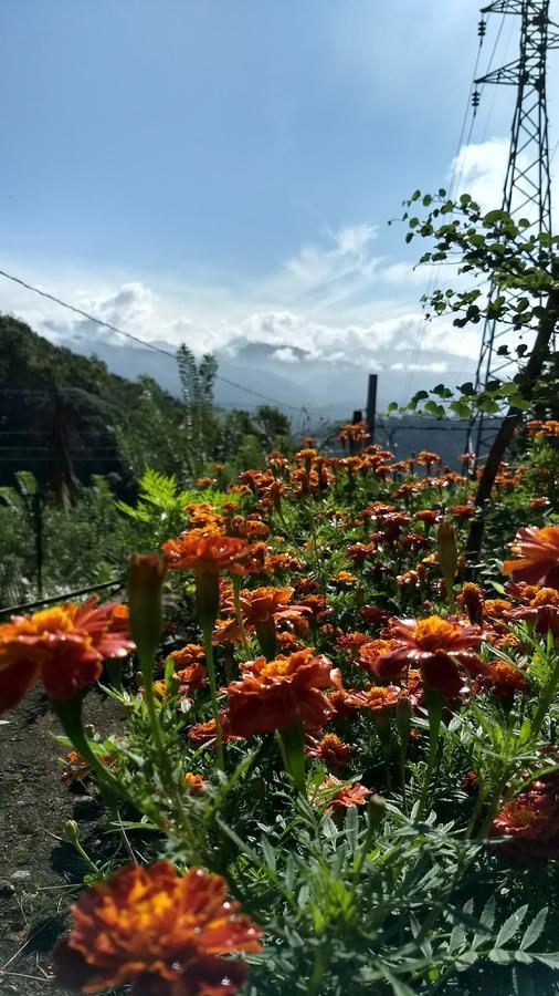 The Pepper Cottage Gomagoda 외부 사진